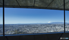 富士山が見える場所