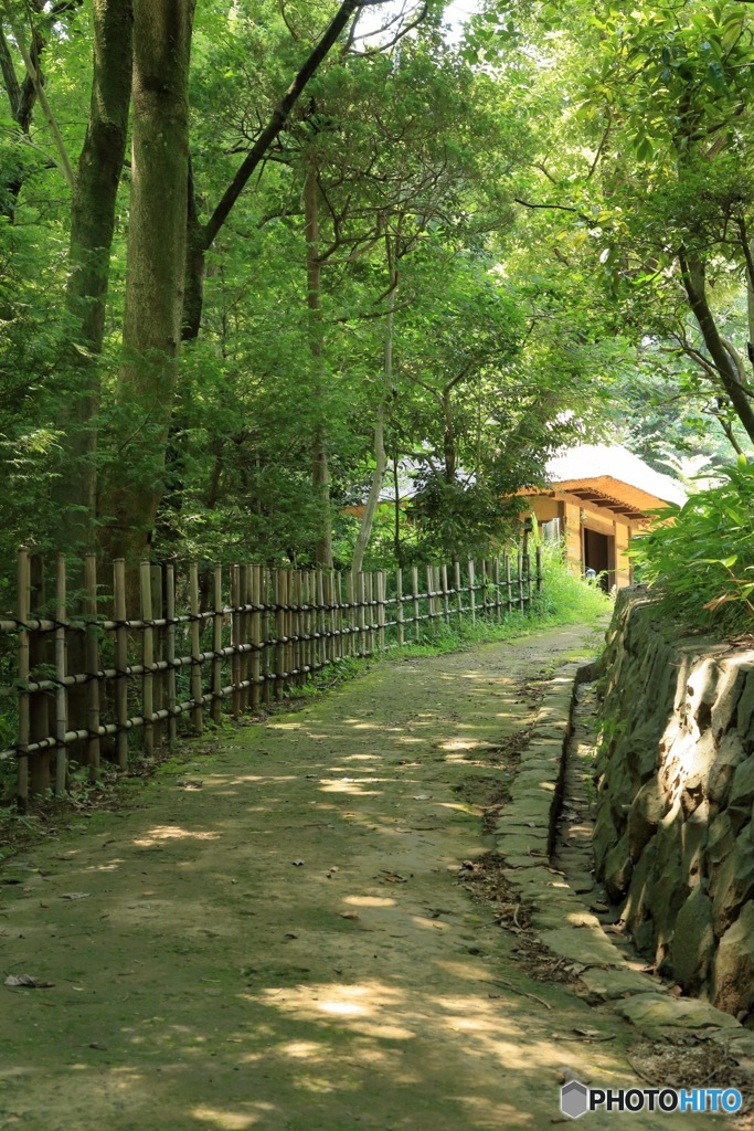 田舎道