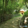 田舎道