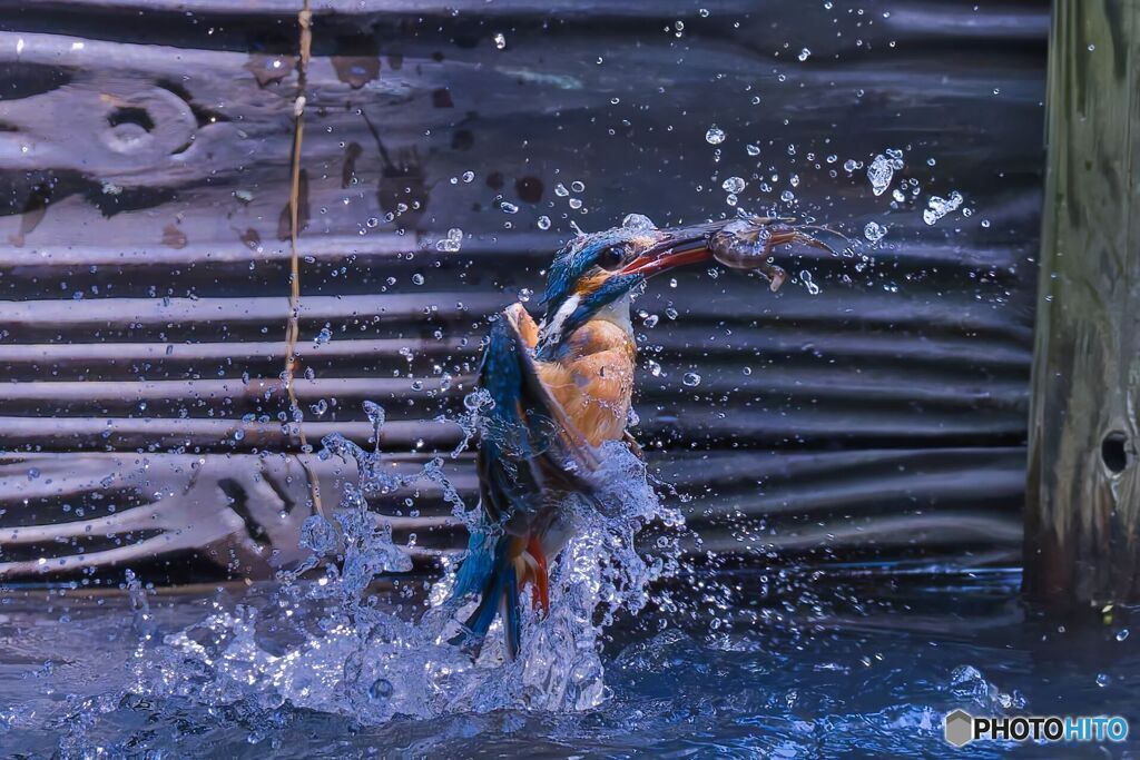 開眼
