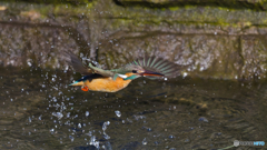 離水