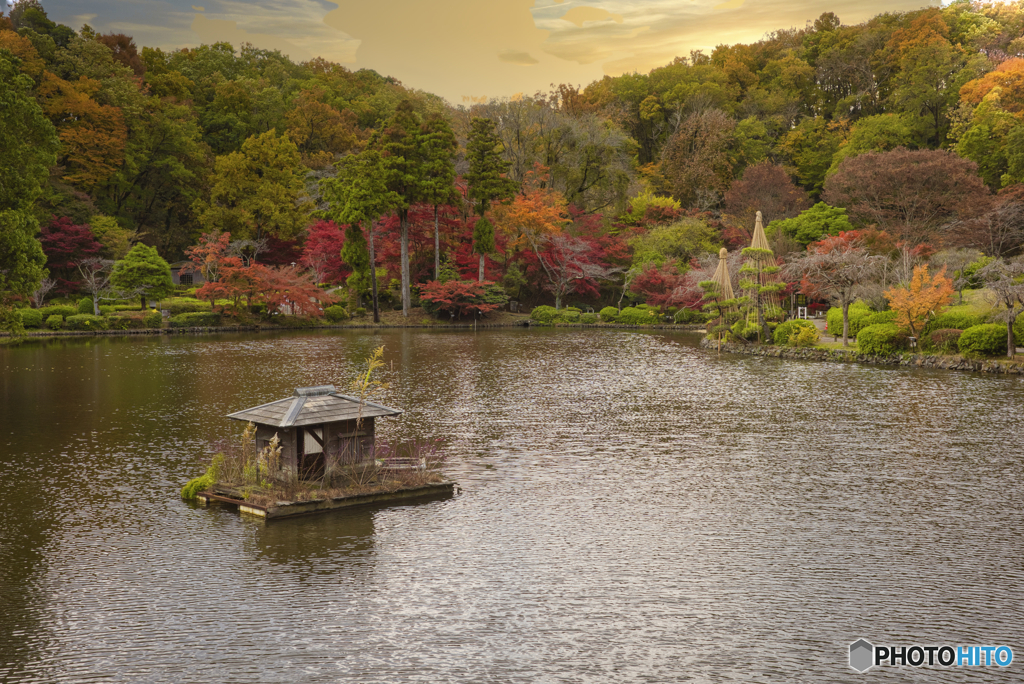 風景写真もGR3X