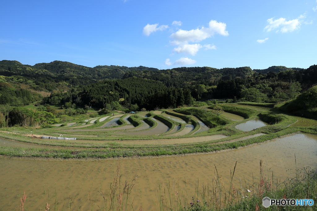 棚田
