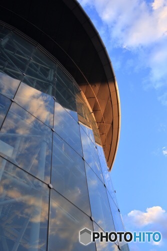 オレンジの反射