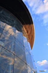 オレンジの反射