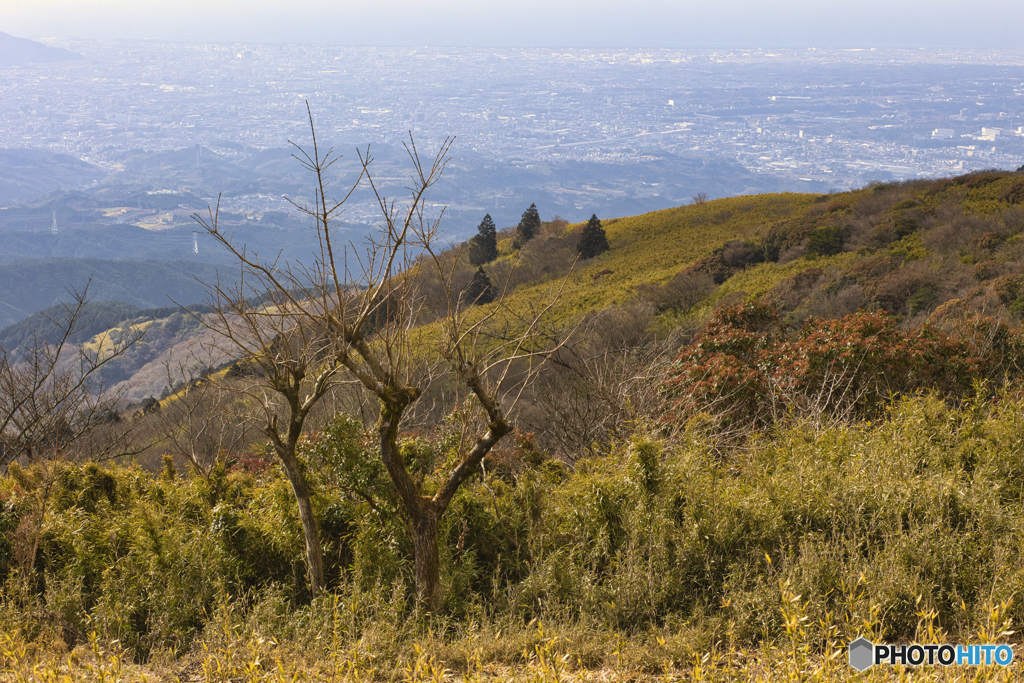 山伏峠から遠くに見えるのはおそらく静岡県裾野市