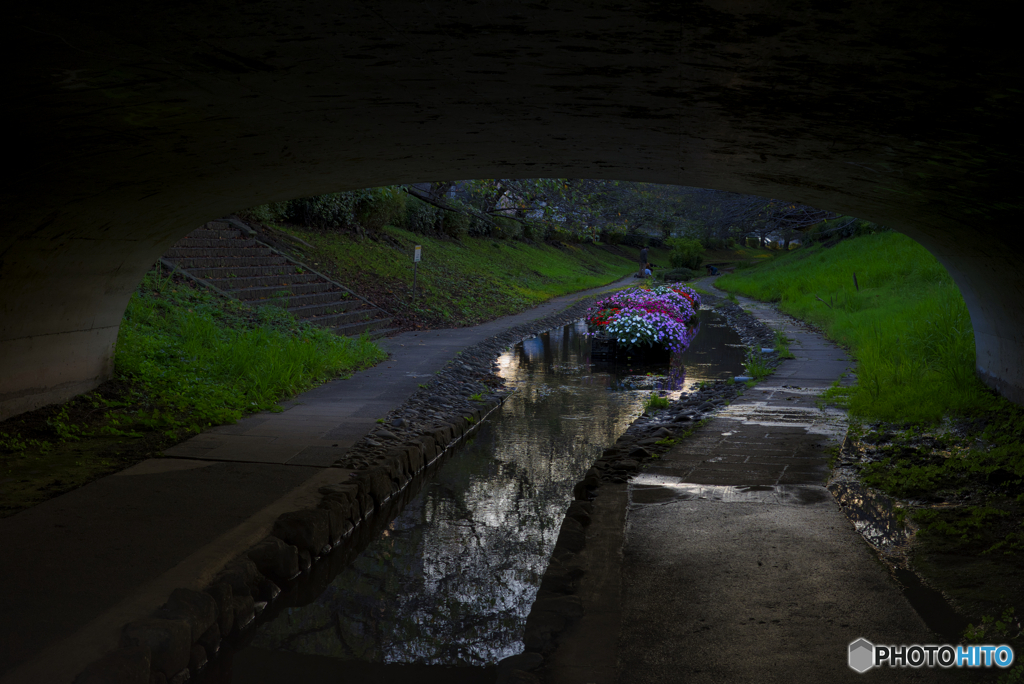 江川せせらぎ緑道
