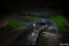 江川せせらぎ緑道
