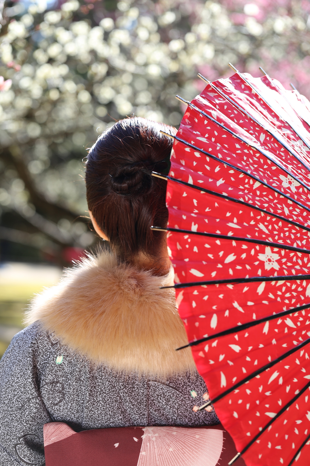 梅の花と和傘の着物女性