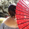 梅の花と和傘の着物女性