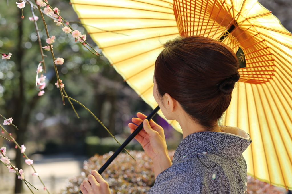 和傘と梅と着物女性