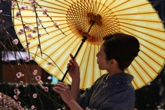 梅と和傘と着物女性