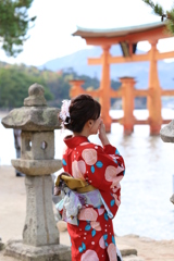 宮島大鳥居と着物美人