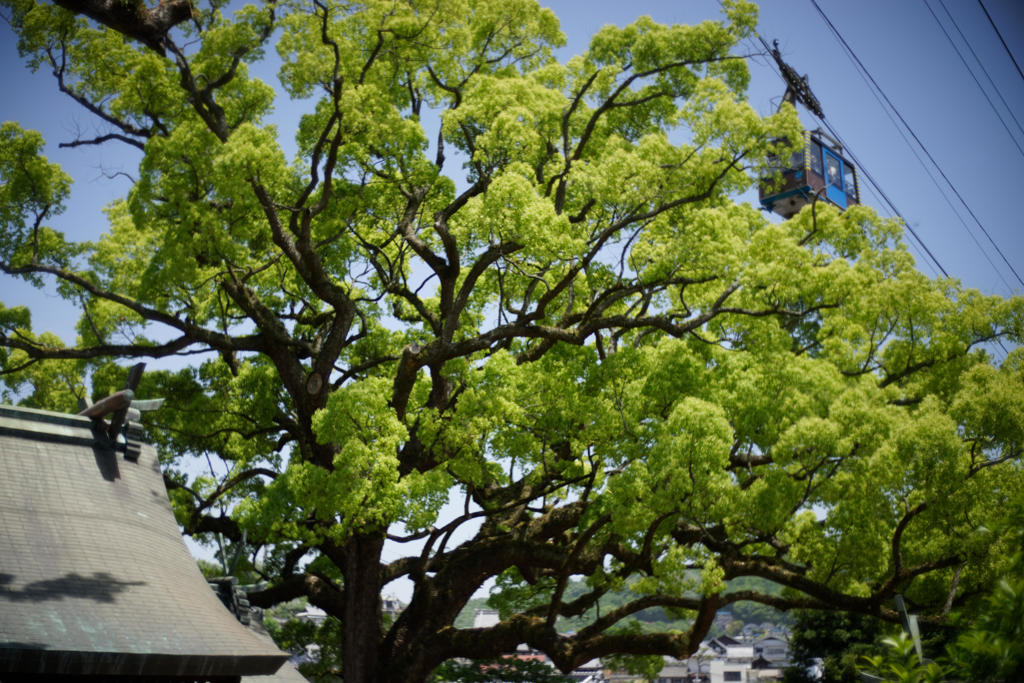黄砂舞う日の尾道 2017.5 #12