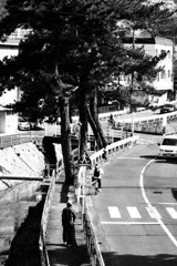 共存
