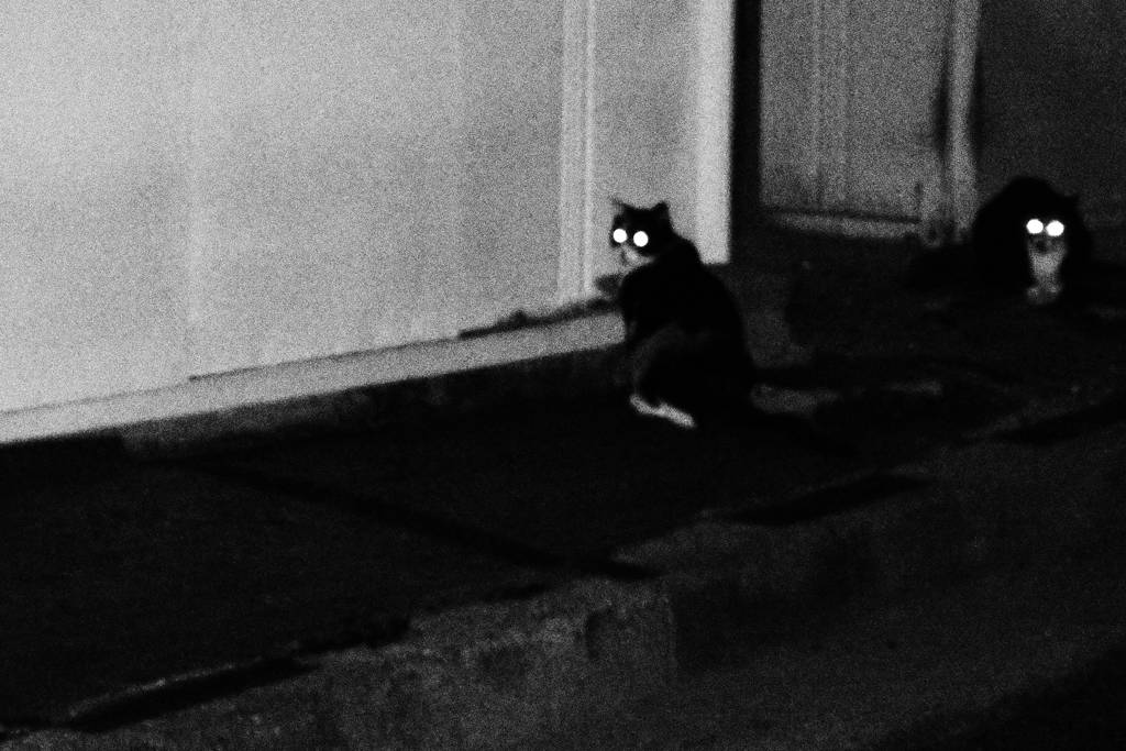 灯りが灯る