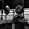 ここに来てからずっと一緒にいるが目を合わせたことは一度もない