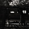 お花寝