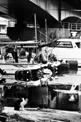 フネネコ その29 ちょっと懐かしい風景