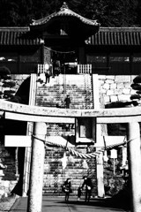 お参りで思いだすのはあの階段