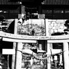 お参りで思いだすのはあの階段