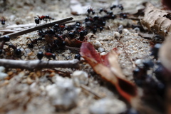 なにかに突き動かされるように