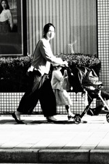 こちらを見つめるあちらのおふたり