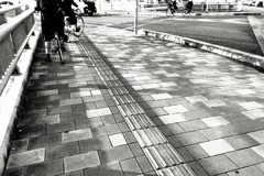朝