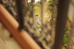 となりの庭はカラフルに見える