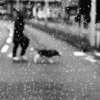 苦楽をともにする