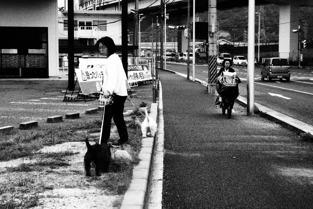 白い犬と黒い犬と白と黒の女