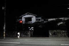 黒い窓白い窓赤い窓