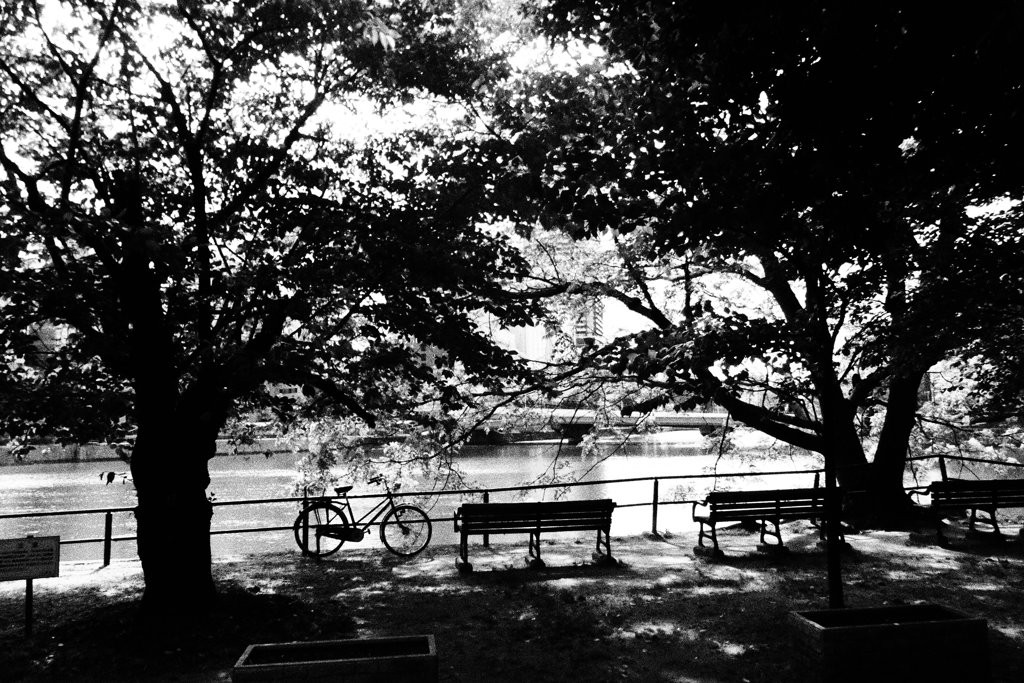 自転車と緑と川とベンチ