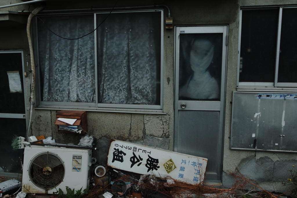 白いなにかがこっちを見ている