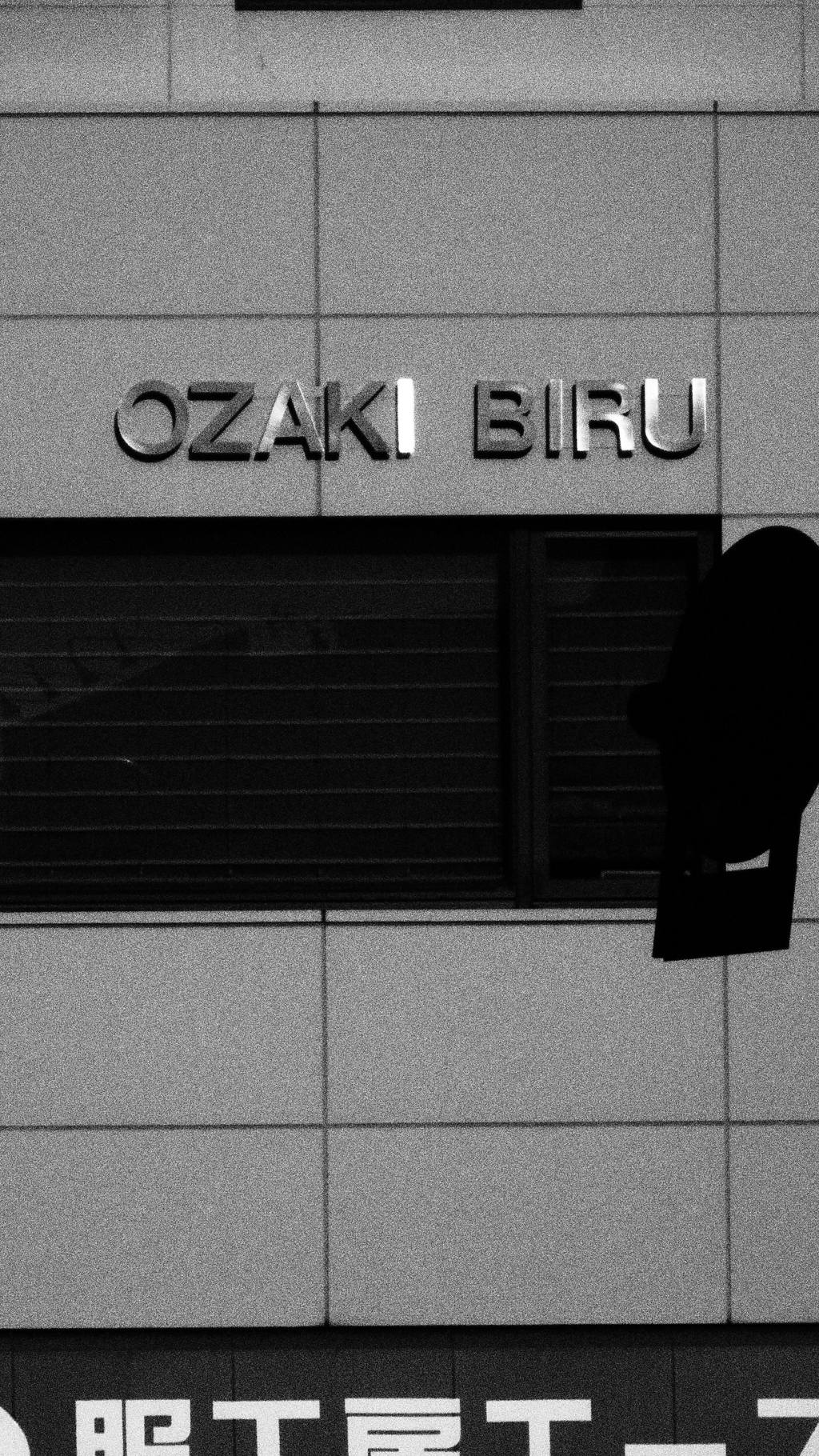 BIRUディング