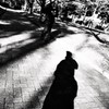 通り（カメラ）魔（ン）