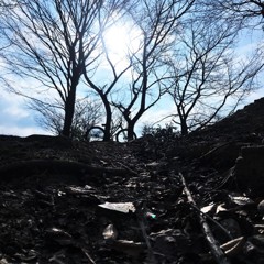 自転車で空と大地を繋いでみる