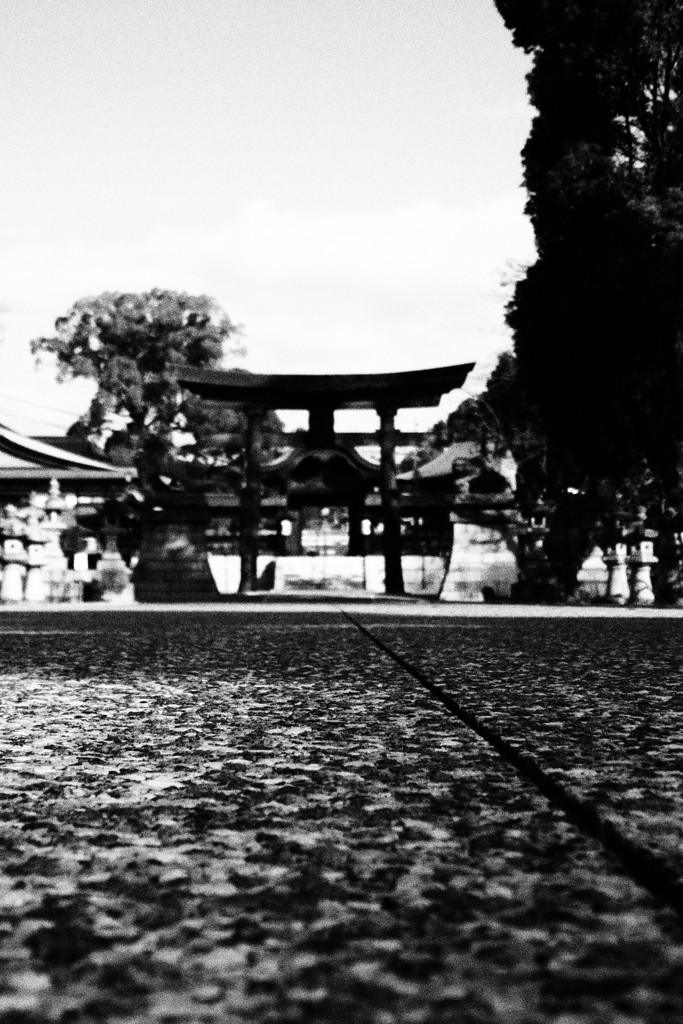 思い思いの想いを抱いて歩く道
