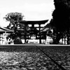 思い思いの想いを抱いて歩く道