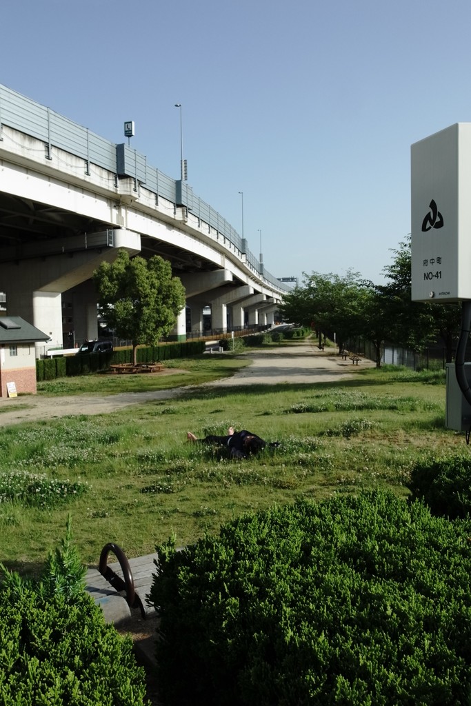 シーッ、お静かに