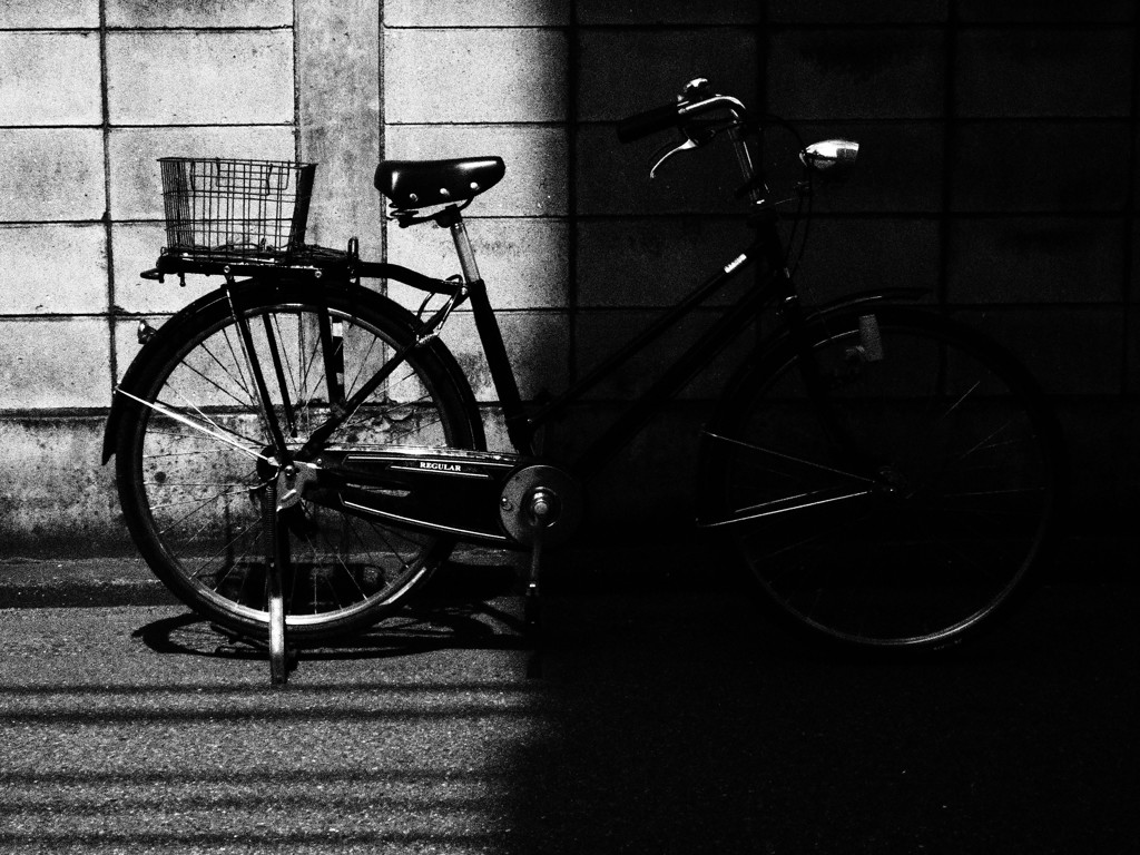 自転車と光と影　頭隠して尻隠さず