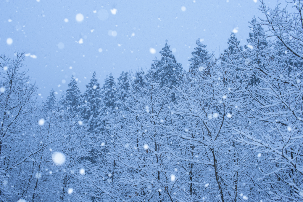 雪山歩き
