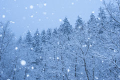 雪山歩き