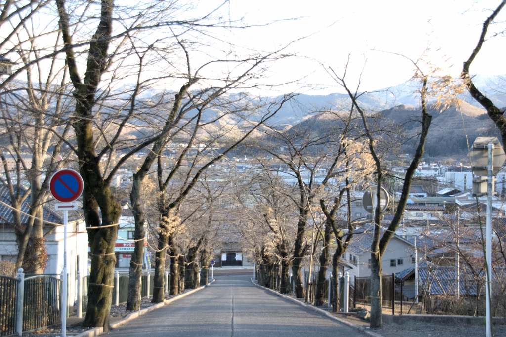 道