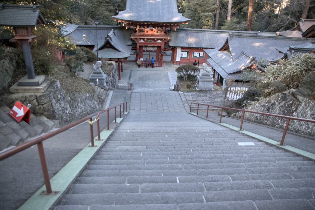 珍しい