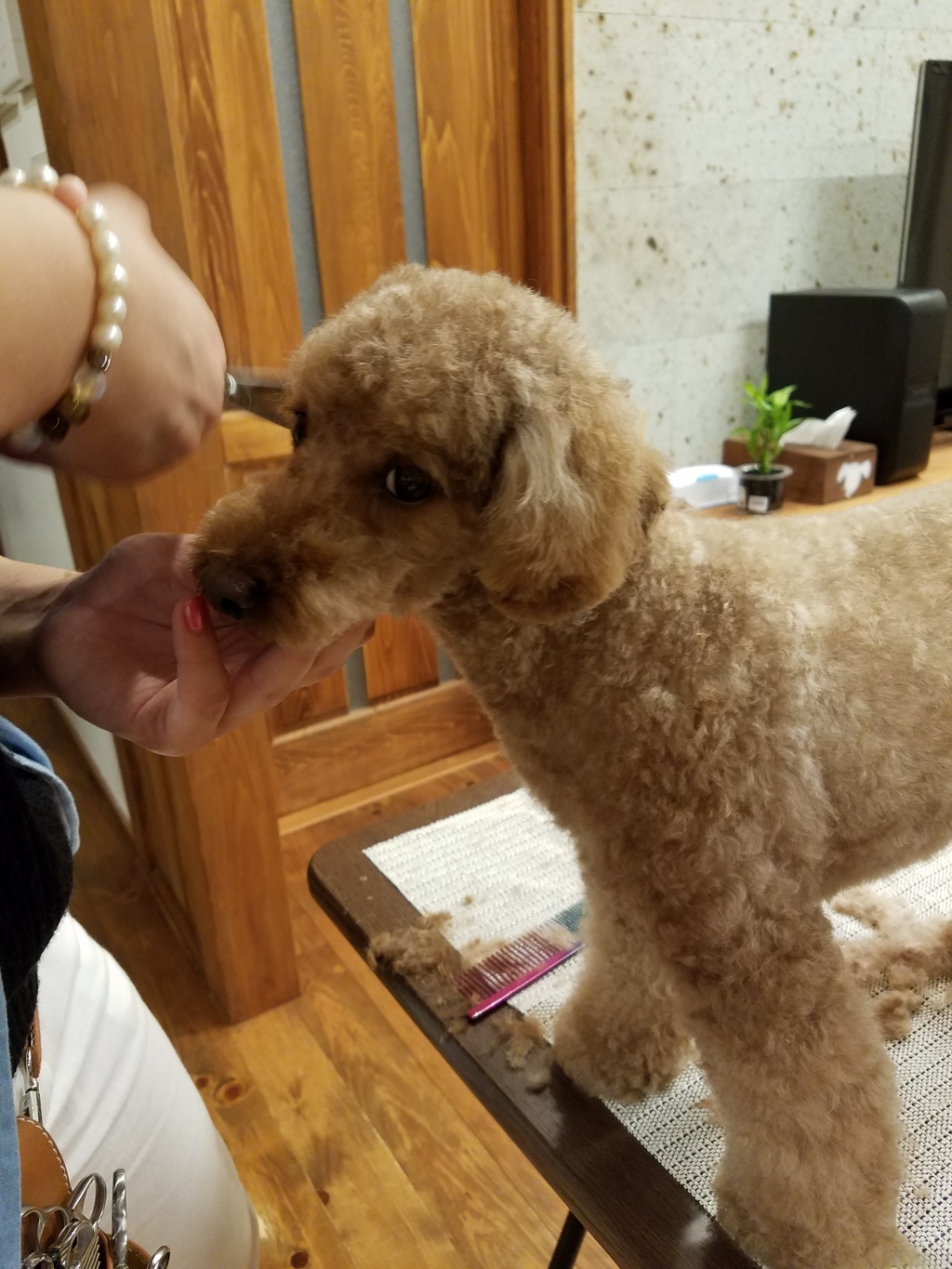 ちょっと！撮らないでよぉ