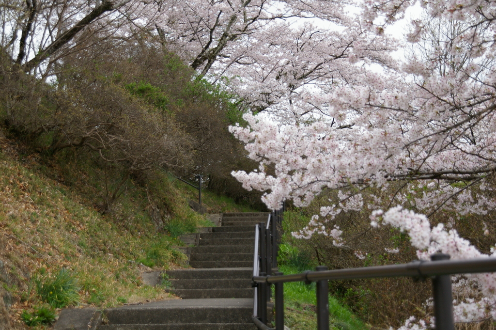 この階段の先には良いことが待っていそう