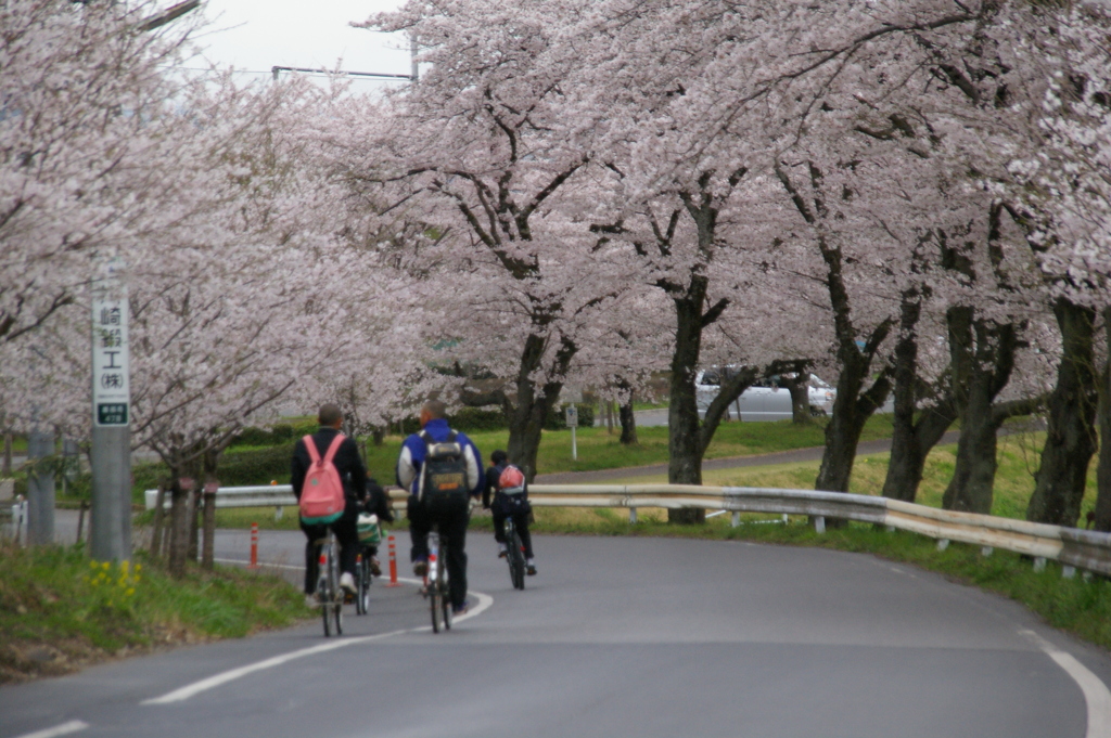 登校初日かな？