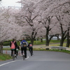 登校初日かな？