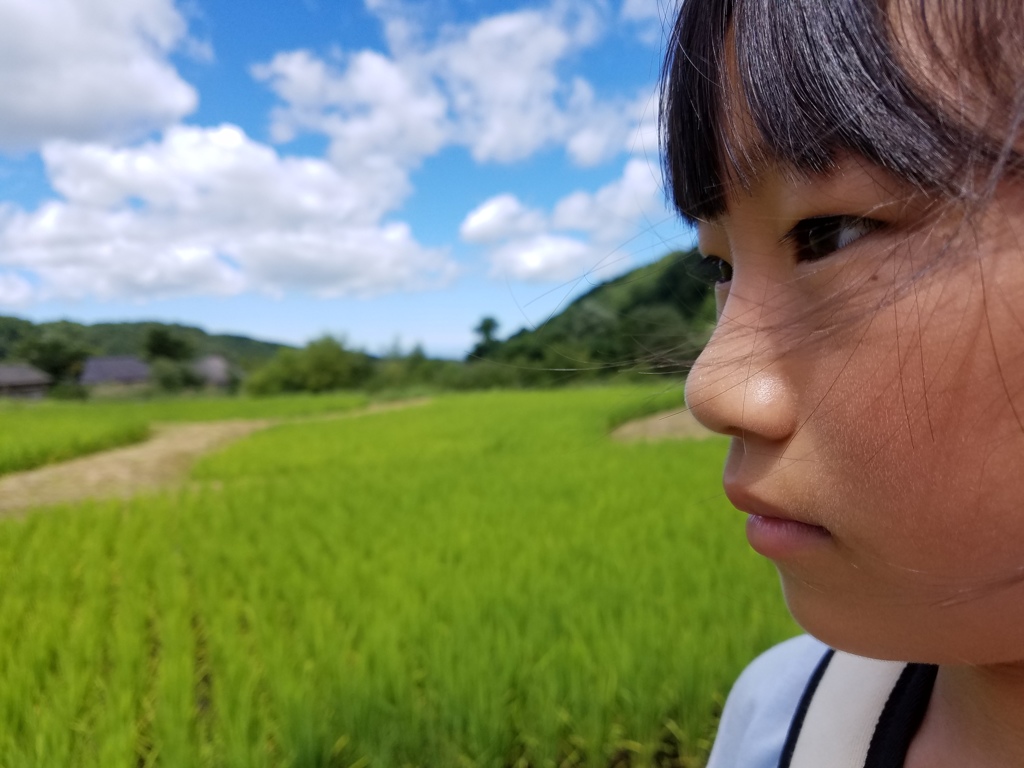 明日へ向かって